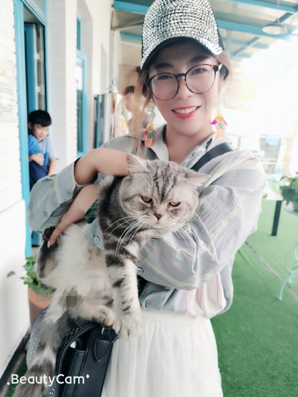 小黑猫的第一张照片--周宁交友网