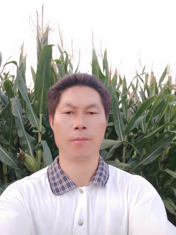 四海游龙的第一张照片--周宁交友网