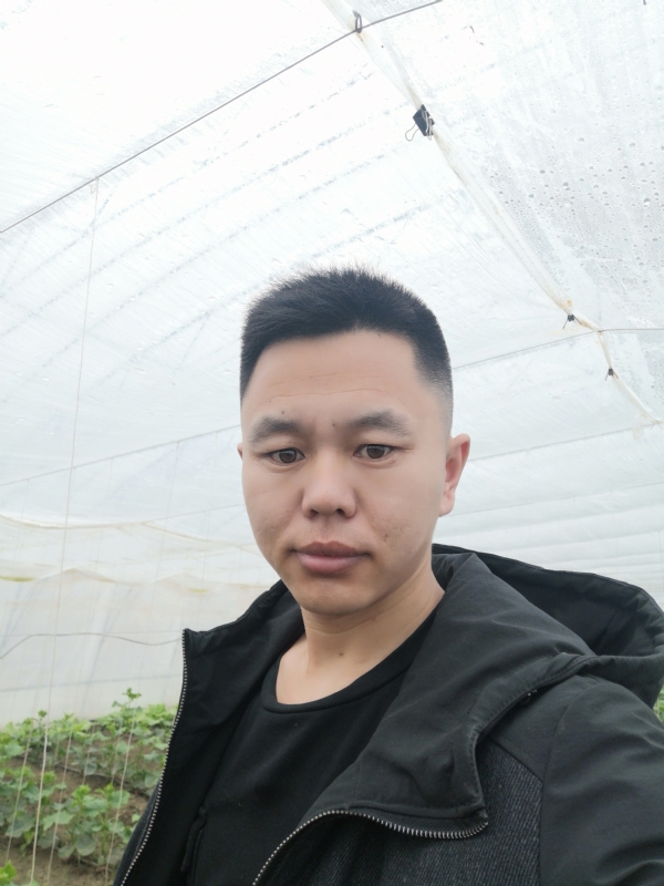宇成的第一张照片--周宁交友网