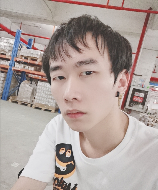 巷子里的猫的第一张照片--周宁交友网