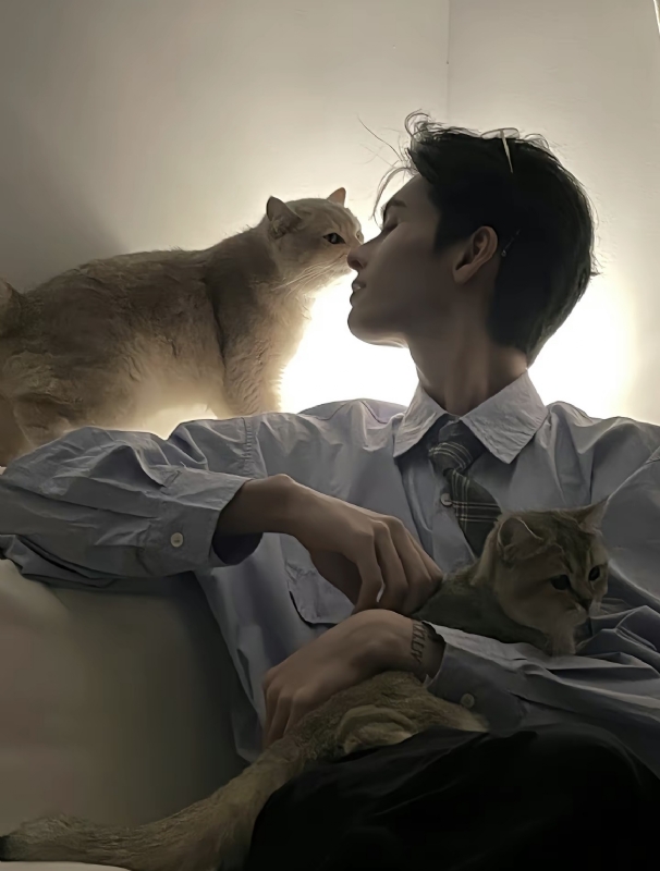 怪猫的第一张照片--周宁交友网